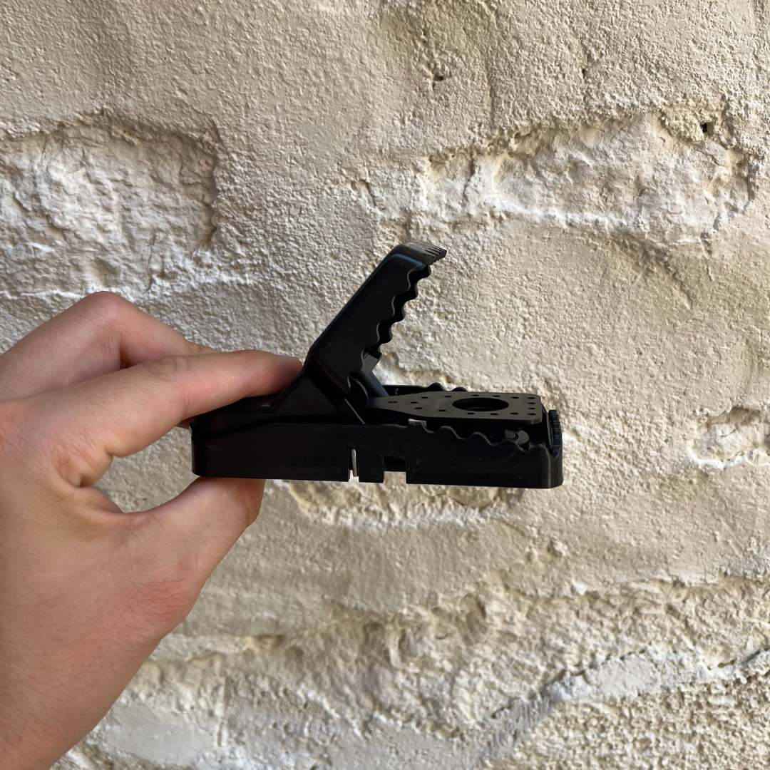 PACK DE 6 : PIÈGES À SOURIS