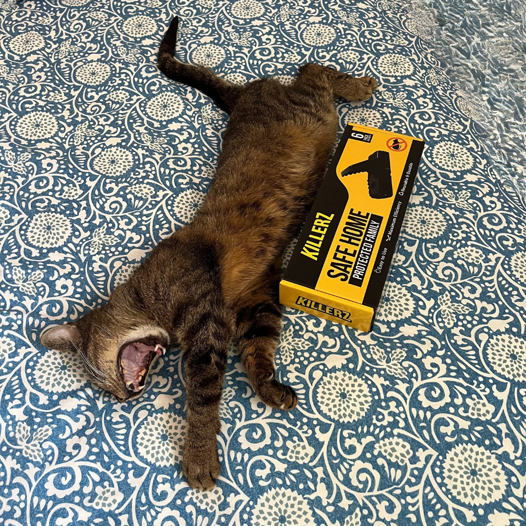 PACK DE 6 : PIÈGES À SOURIS
