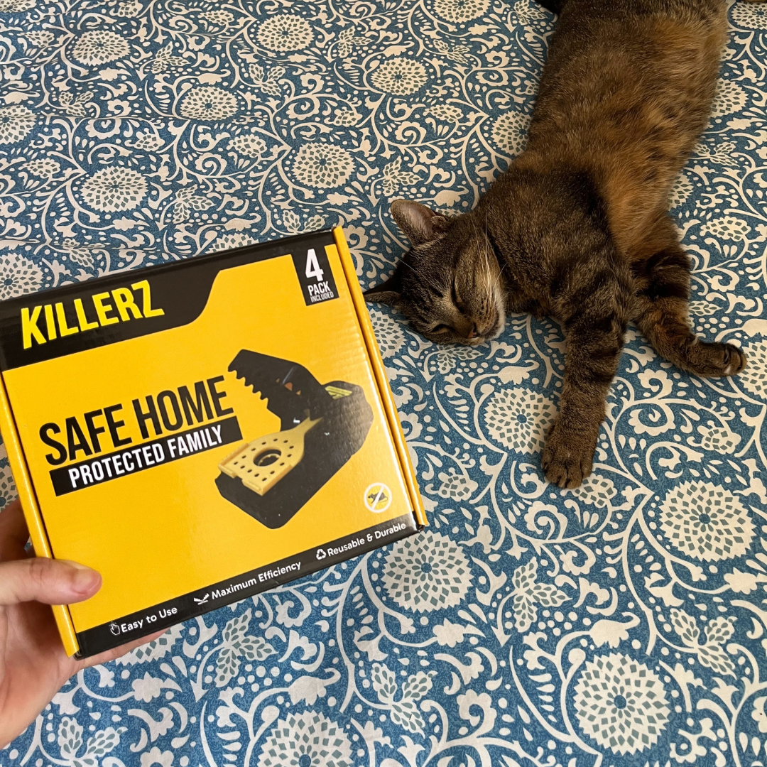 PACK DE 4 : PIÈGES À RATS
