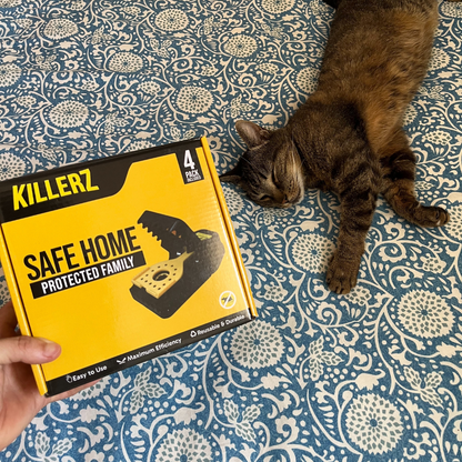 PACK DE 4 : PIÈGES À RATS
